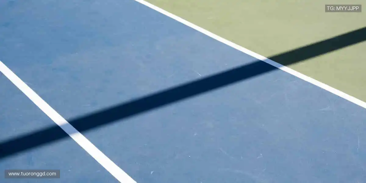 指尖掌控全球赛事，零时差感受热血沸腾！📱⚽